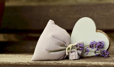 Yüzyıl Sonraki Torunuma Mektup- 59