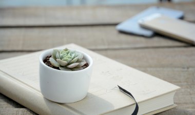 Yüzyıl Sonraki Torunuma Mektup- 61