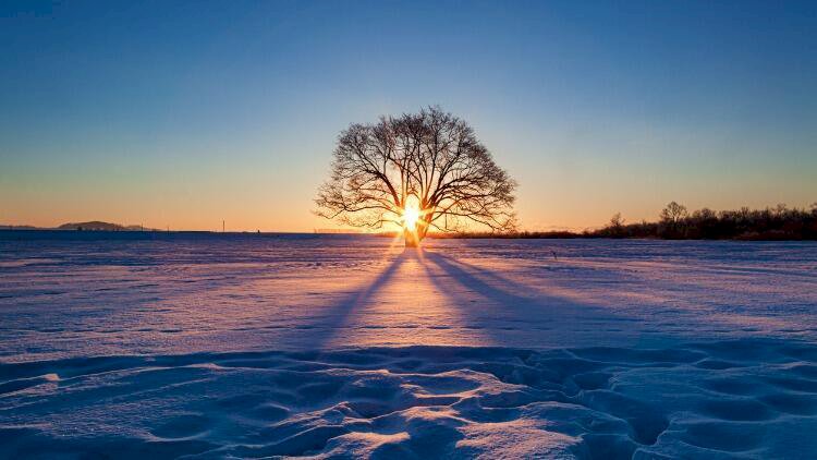 Cesaret mi Gerçek mi
