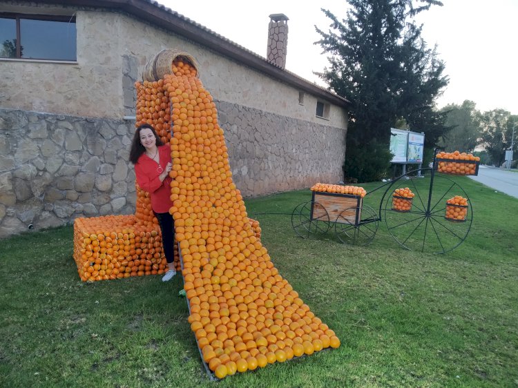 Güzelyurt \ Kıbrıs