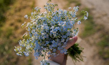 Yüzyıl Sonraki Torunuma Mektup- 65