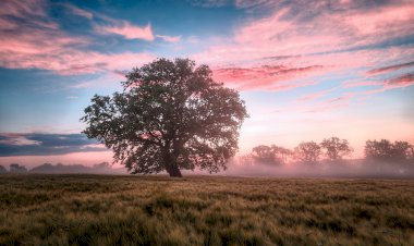Yüzyıl Sonraki Torunuma Mektup- 70
