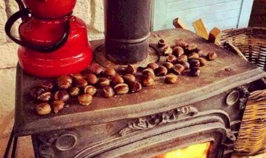 Kestanelerin Kararlılığı