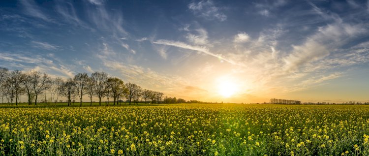 Yüz Yıl Sonraki Torunuma Mektup- 69
