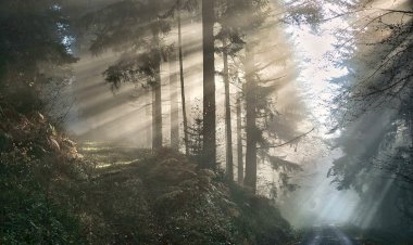 Yüzyıl Sonraki Torunuma Mektup- 78