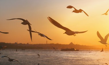 NEFES21 AKADEMİ'DEN SONRA HAYATIMA GELEN MUCİZELER