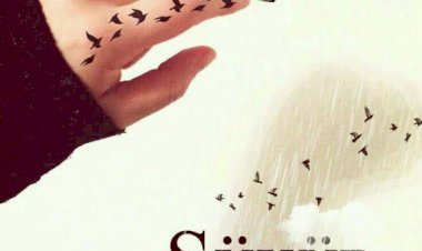 Tenkit Tüketir, Takdir Üretir