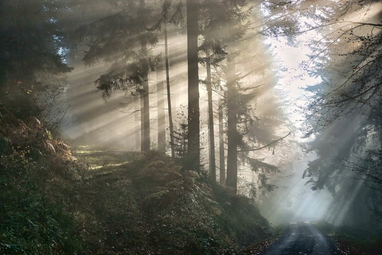 Yüzyıl Sonraki Torunuma Mektup- 78