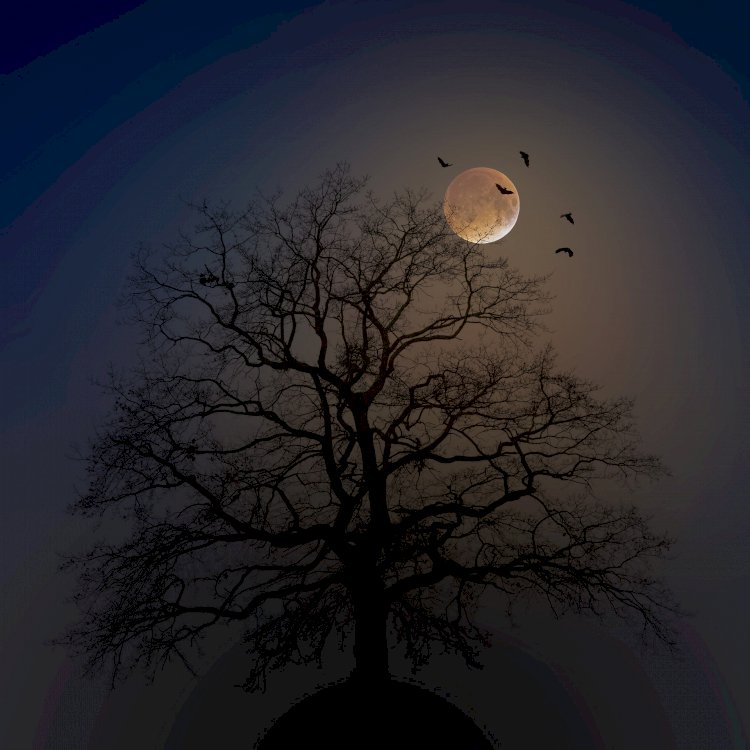 Hayatımızı Etkileyen Korkular