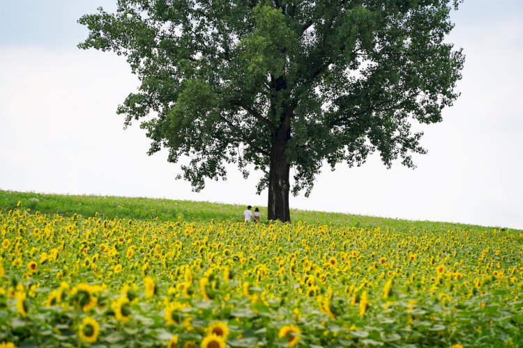 Yüzyıl Sonraki Torunuma Mektup- 81