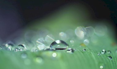 Yüzyıl Sonraki Torunuma Mektup- 84