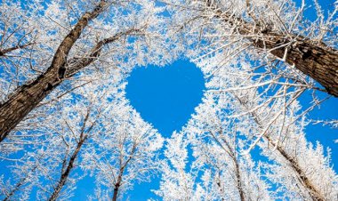 Bu Hayatın Tekrarı Yok