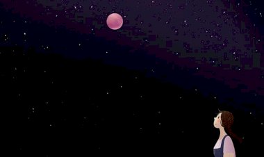 Bekliyorum Ama Neyi?