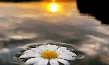 Karma Karışık / Sözün Bittiği Yer