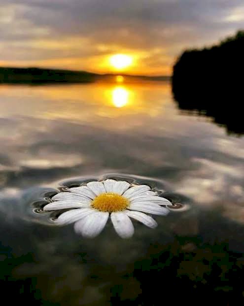 Karma Karışık / Sözün Bittiği Yer