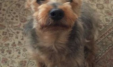 KENDİME SÖZ GEÇİRMEK