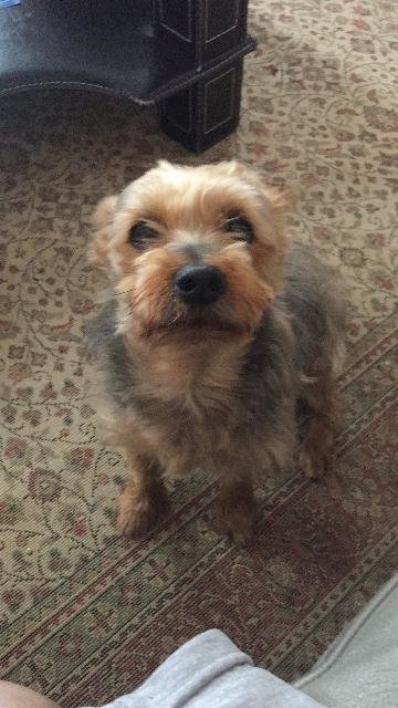 KENDİME SÖZ GEÇİRMEK