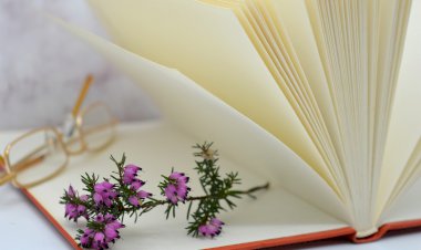 Yüzyıl Sonraki Torunuma Mektup-91