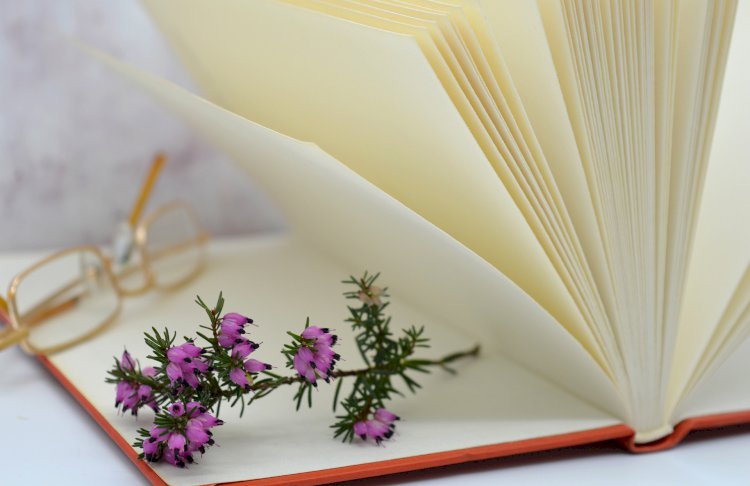 Yüzyıl Sonraki Torunuma Mektup-91